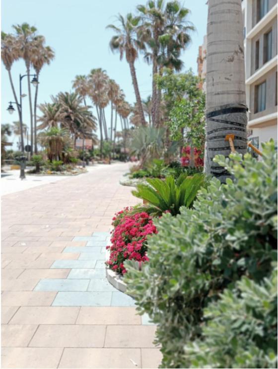 Beach Side Apartment -Estepona Esterno foto